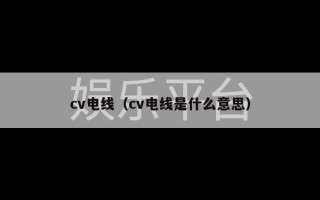 cv电线（cv电线是什么意思）