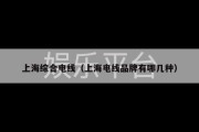 上海综合电线（上海电线品牌有哪几种）