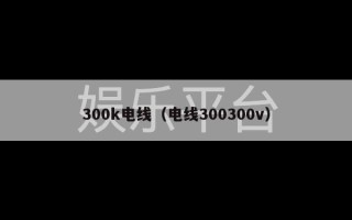 300k电线（电线300300v）