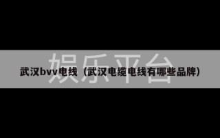 武汉bvv电线（武汉电缆电线有哪些品牌）